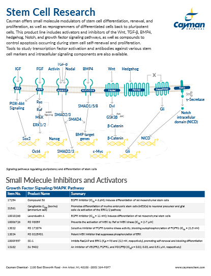 <p>​Stem Cell Research<br></p>
